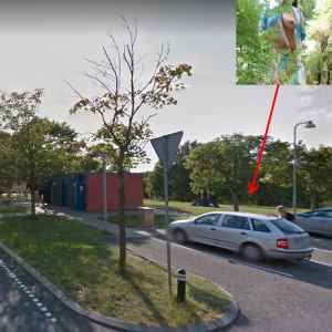 Fuglsang rasteplads