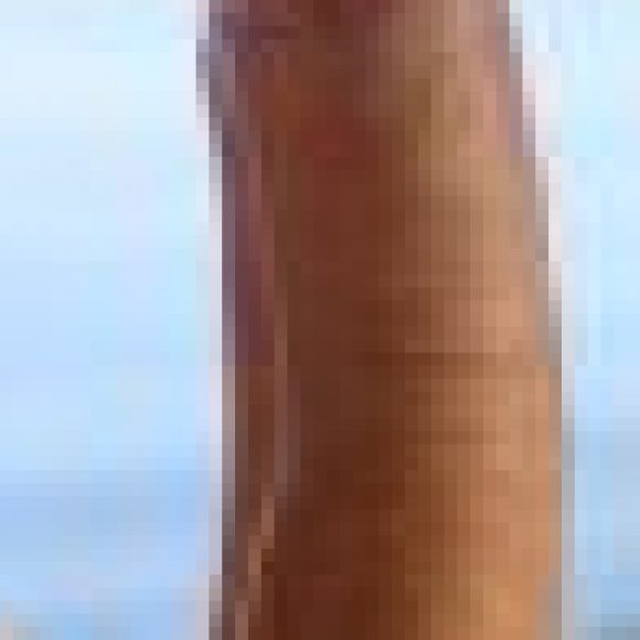 Profilbillede af Hvid