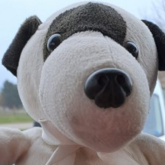 Profilbillede af Schutt m søger q