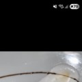 Profilbillede af Mums123