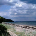 Gruppelogo af Fløjstrup strand